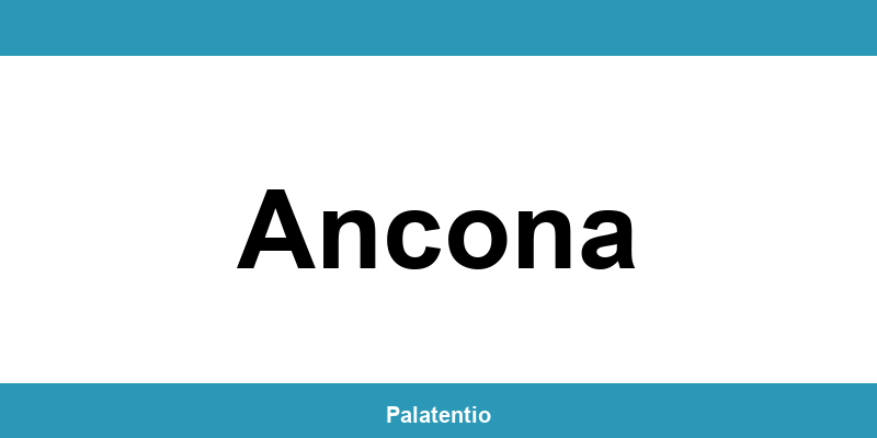 Contatti e orari della Motorizzazione Civile a Ancona